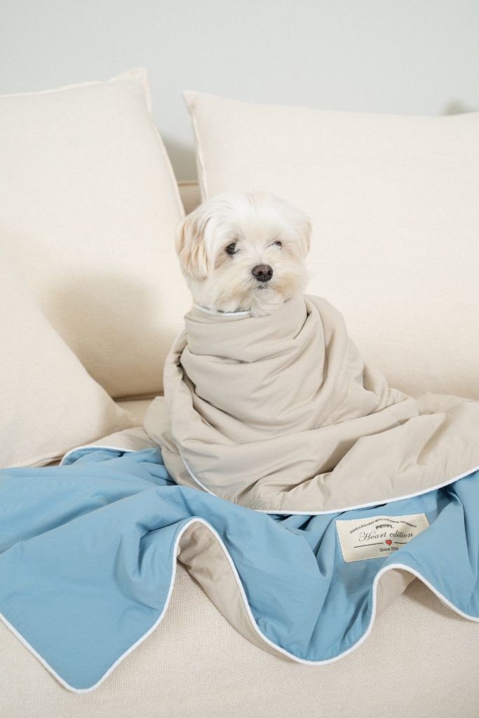 강아지 쿨링 이불