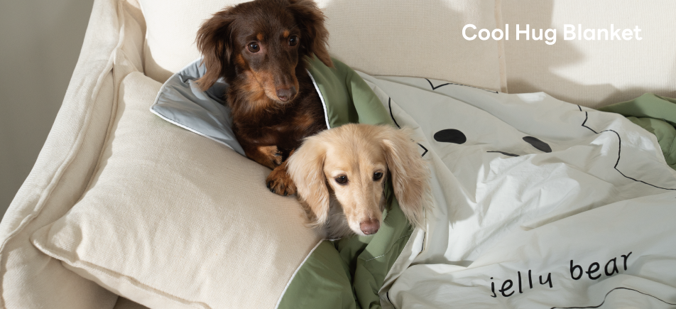 쿨링 이불